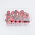 Container With Manufacturer Blister Plastic Box For Fruit Vegetable Container With Lid