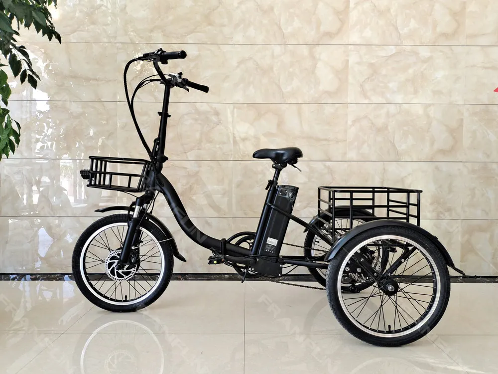 Ce Dot 36v250w Motorized 3 Wheel Bicycle Popular Folding Electric Cargo