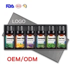 Oil OEM ODM 6PC Aromatherapy Oil Gift Set Lavender Eucalyptus Essential Oil Set Private Label