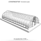 Tunnel Customized Gothic Greenhouse Indoor Cultivation Tunnel Greenhouse
