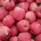 Apple Fresh Appleapplefresh Crisp Fruit Preservation Apple Fresh
