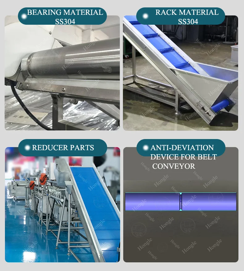 Food Industry Production Line Snacks Conveyor Belt for Fruit & Vegetable Washing Equipment supplier