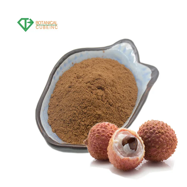 100 Natural Lychee De Extracto De Semilla De Lichi Polvo De Extracto De Semilla De Lichi De P Buy Polvo De Lichi Lichi Fresco Polvo De Extracto De Lichi De Extracto De Semilla De Product