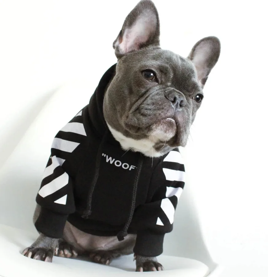 fashion pet clothing