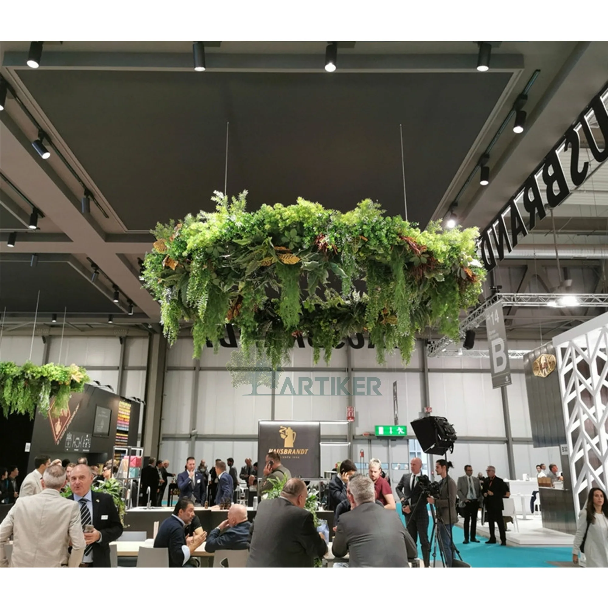 Hanging Vine Plants Outdoor ubicaciondepersonas.cdmx.gob.mx