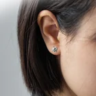 Cut Diamond Stud Earrings Earrings 925 Silver Brilliant Cut Moissanite Diamond Stud Earrings