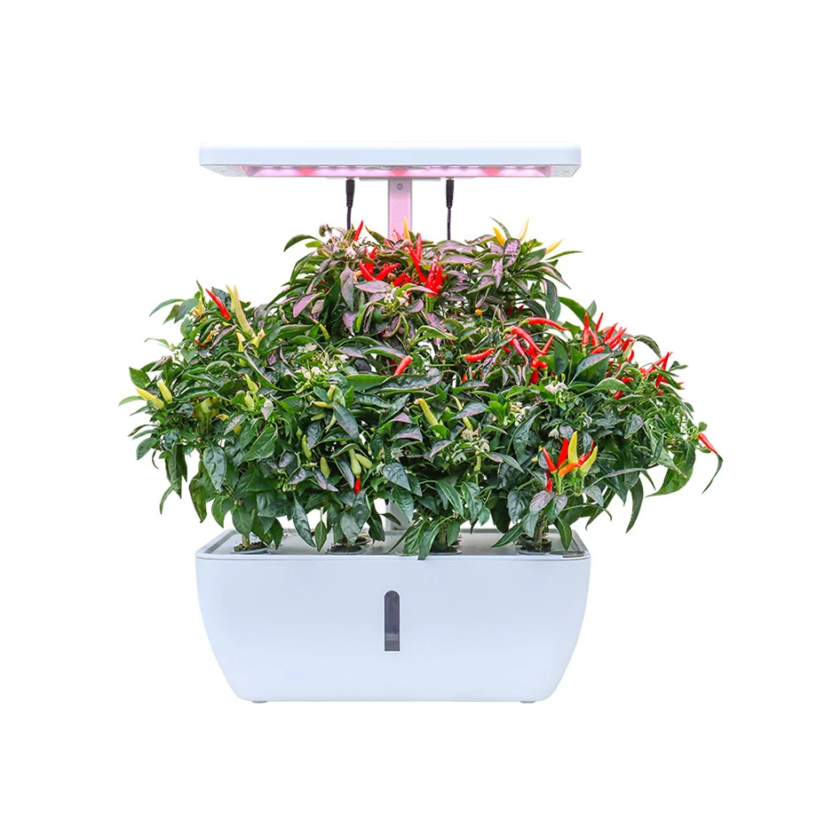 OEM Customized Indoor Herb 2023 Smart Garden Flower Planter, Smart Led Planter,  Growth Hydroponic Planter