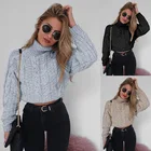 And Knit Fall Sweaters Autumn And Winter Turtleneck Knit Cropped Short Sweater Pullovers