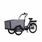 Cargo Bike Electric Cargo Bike With Alloy Frame Middle Motor Cargo Tricycle With Rain Cover