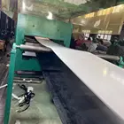 Belt Belt Manufacturers White Color EP315/3 12MPA Conveyor Belt For South Africa Market