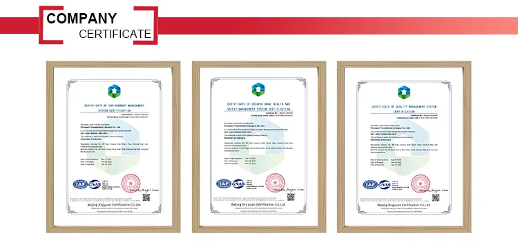 Factory customized BWD1 BLD1 Cast Iron Gear Speed Cyclo Drive Reducer Cycloid Gearboxes  Cycloidal pin wheel reducer supplier