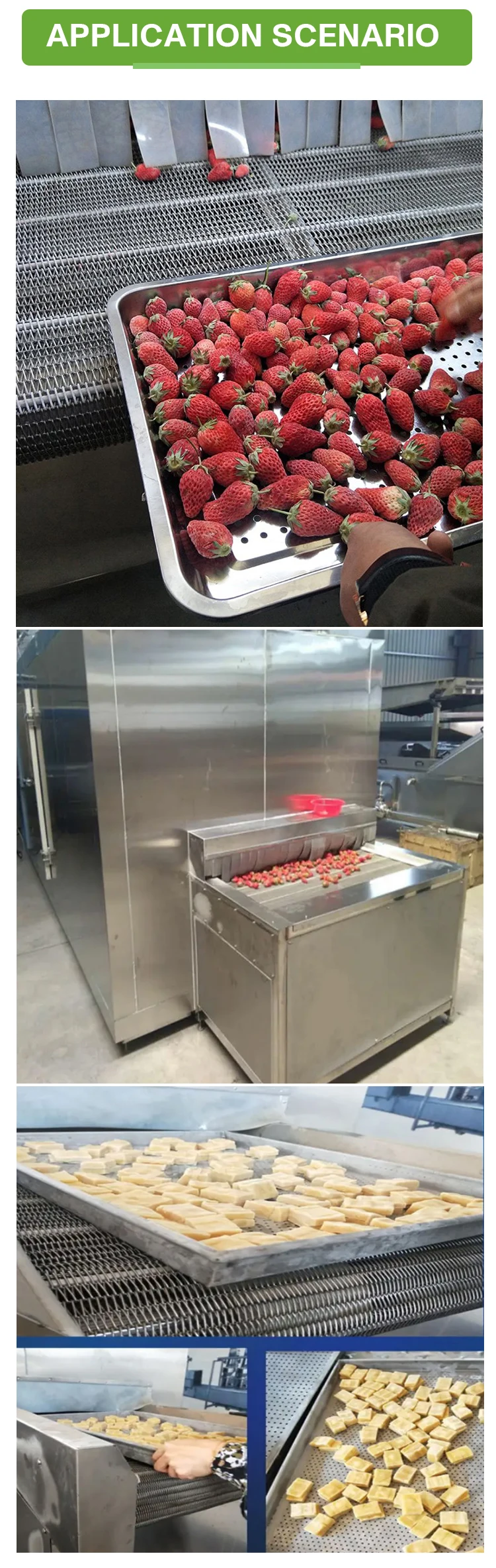Blast Freezer, 220V, 100-5000Kg - detail 10