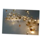 Led Light Decorative Decorative LED New Style Microwire Light Cluster With Shinny Star Pearl Indoor Garland