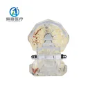Model Anatomical Factory Wholesale Implant Care Teeth Dental Study Teaching Model With Bottom Price