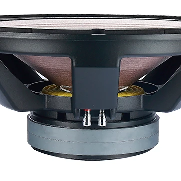 Power Dj Equipment Bass Subwoofer 
