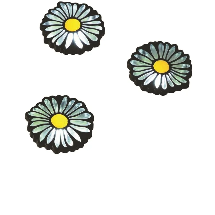 daisy solar string lights