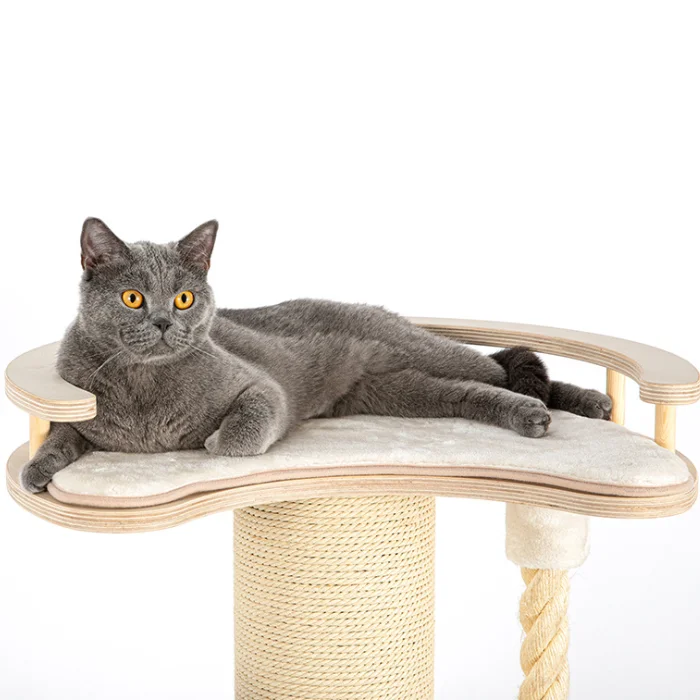 honeypot luxury cat scratching floor to ceiling