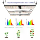 Green Bulb Led Samsung Bava Green Im301h Pro 720W Bulb Led Grow Light Discount Sale