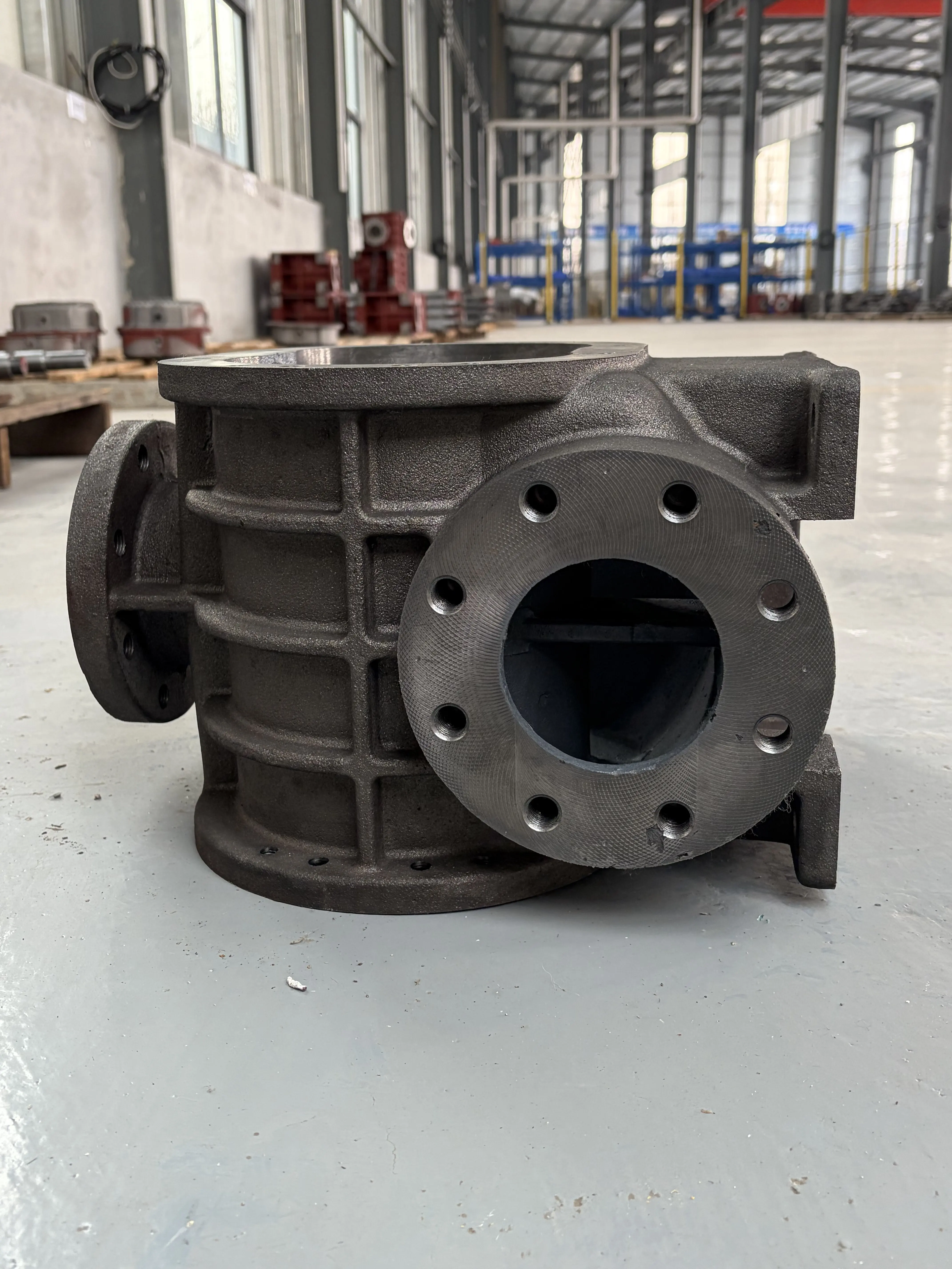 Roots Blower, LOGTTECH, 5hp, Cast - detail 26