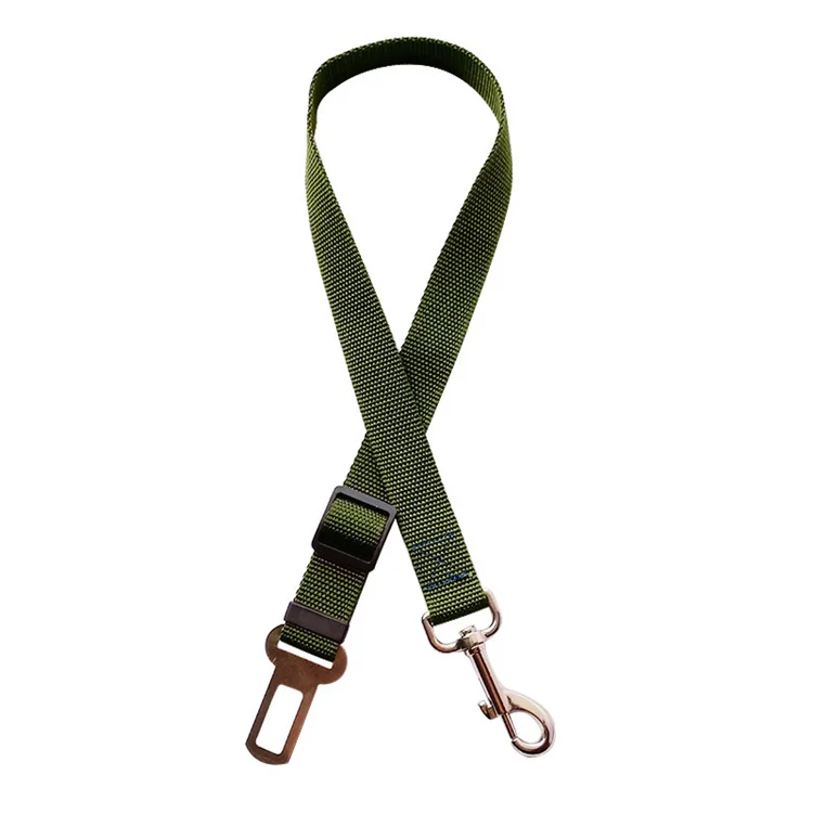 dog leash PCL0228.jpg