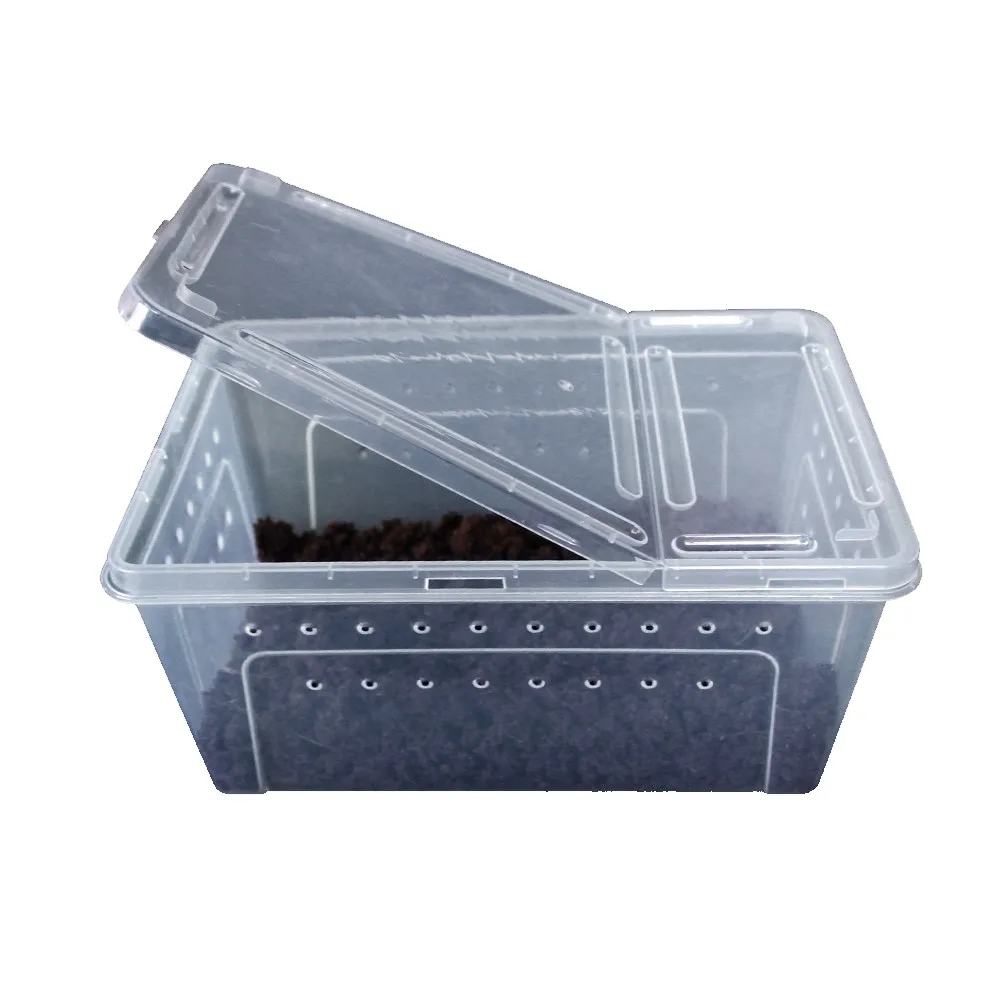 reptile plastic tubs