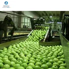 Apple Fruit Apple Fruit Juice Juicer Production Line