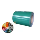 Prepainted Turkmenistan Use Z30 Z60 Z90 Ppgi And Ppgl Galvanized PPGI Coil With Grass Pattern