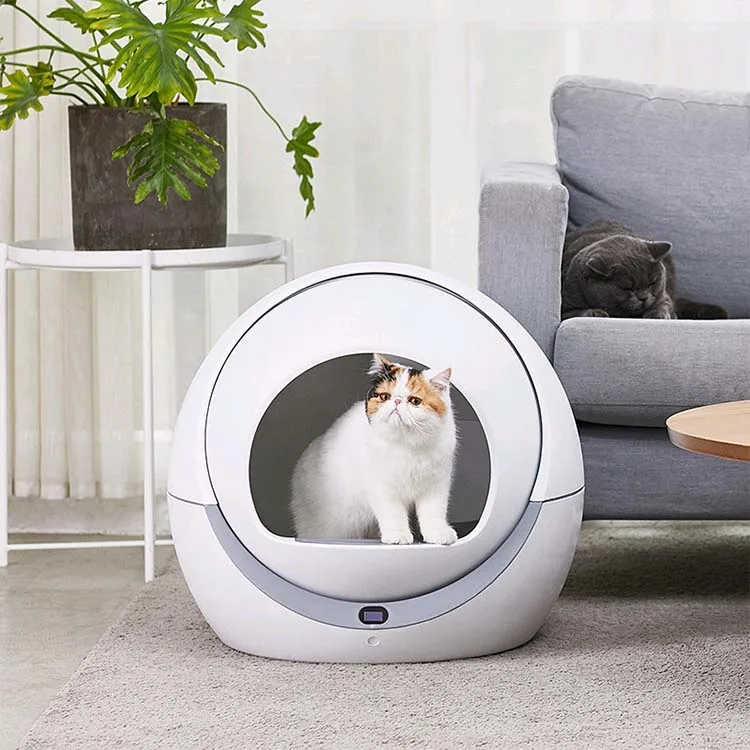 smart price cat litter