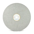 Disc SCOTTCHEN Wholesale Diamond Flat Lap Wheel 100-400mm Diamond Lap Disc 60-600Grit Flat Diamond Disc