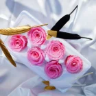 Rose Roses RH-0005 Modern Novel Design Preserved Rose Head Flower Head Roses