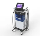 Facial Niansheng Factory SPA PDT Skin Aqua Facial Hydra Dermabrasion Facial Machine For Skin Rejuvenation