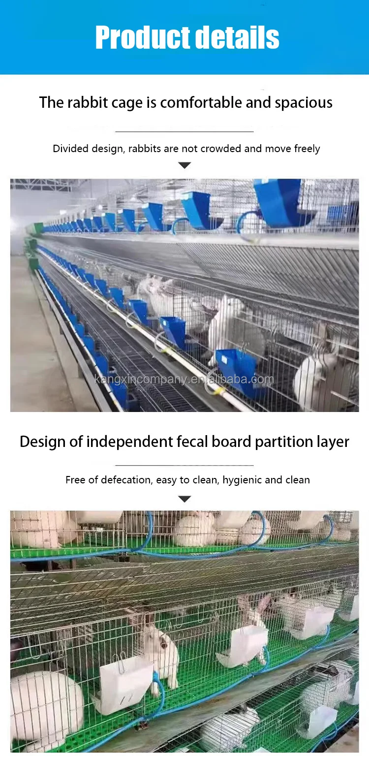 High Efficiency Breeding House Attached Nest Box And 40 Rabbit Cages