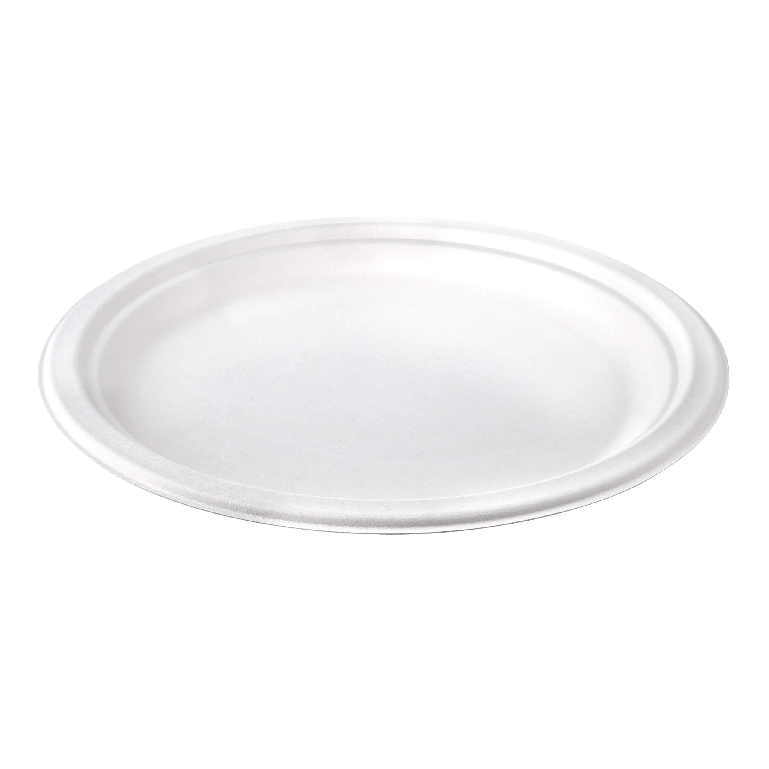 Disposable Tableware Biodegradable Sugarcane Bagasse Paper Pulp Mould ...