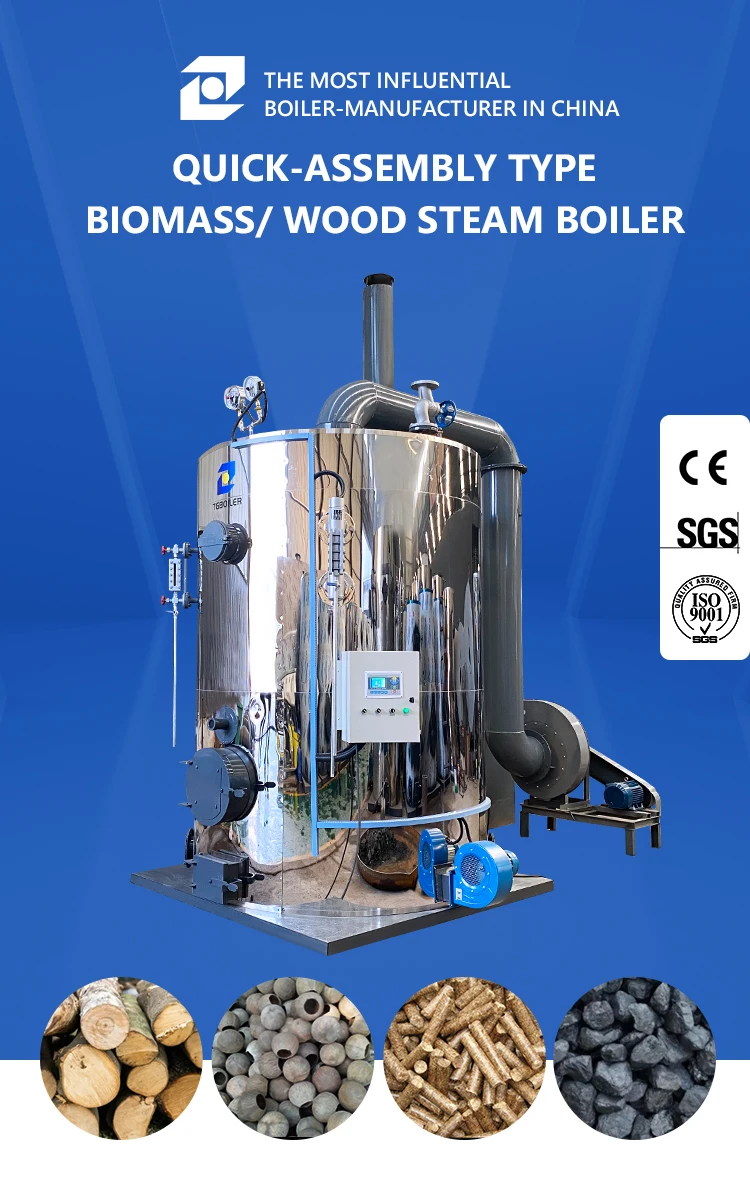 Steam Generator, 300, 500, 700, 1000 - detail 2