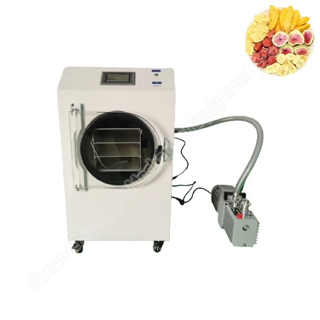 Drying Fruit Vegetable Liofilizador Vacuum Mini For Home Lab Freeze