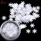 Glitter Nail Art Glitter Custom Logo Snowflake Glitter Christmas Party Glitter Nail Art Glitter