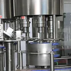 Small Production Small Production Line Of Bottled Juice Coffee Filling Equipment/machine
