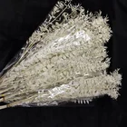 Wedding Decoration Wedding Wholesale Home And Wedding Decoration Preserved Ruscus