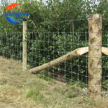 High tensile galvanized wire joint field fence farm fencing fixed knot fence used for cattle and deer