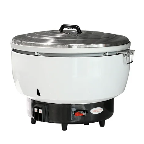 best stainless steel rice cooker 2021