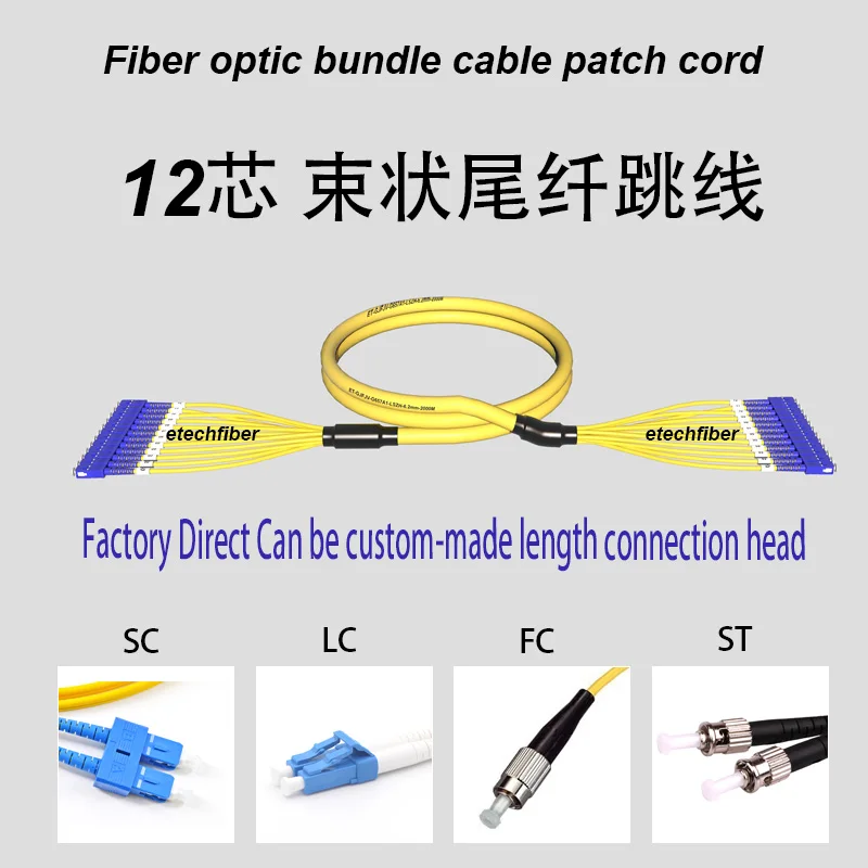 Fibre Optique Ftth Indoor Bundle Cable 12 Core Sm Sc Fiber Optic Patch