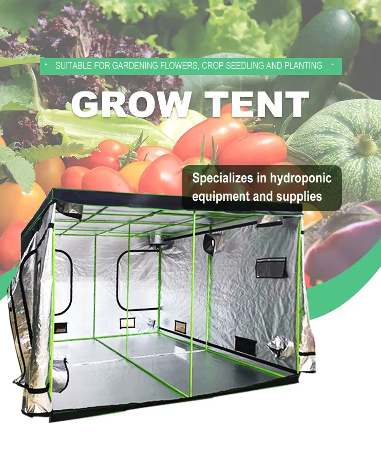 Growing Mushroom Grow House Kit Tent Indoor Plant Grow Bags With Lm561c