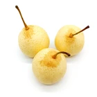 Pears Pear 2020 New Crop Popular Ya Pears Pear Fruit For Export