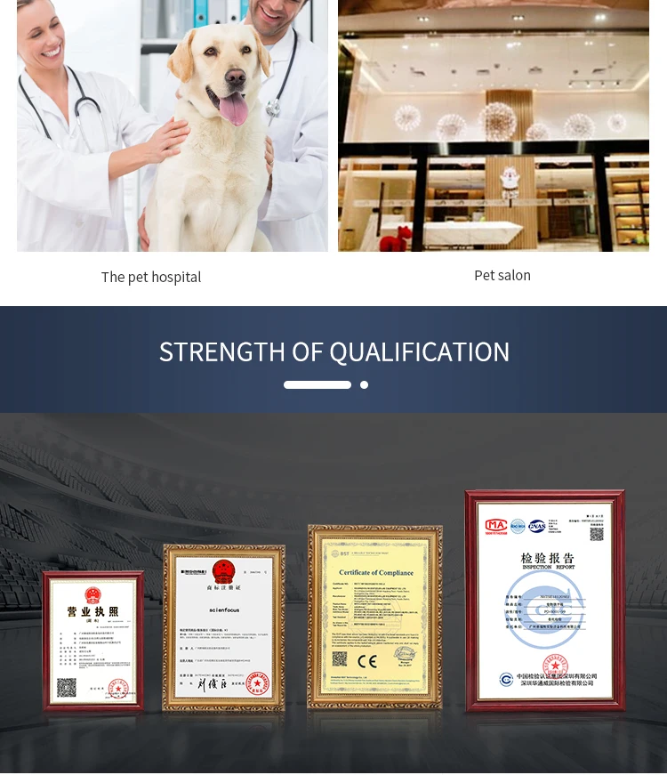 Eco-Friendly Automatic Voice Intelligent Silent Pet Dryer Dog Hair Dryer Beauty Blowing Hair Drying Box for Cat Dog Dry Room