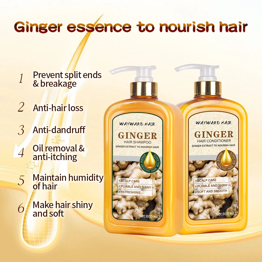 Hot selling organic hair shampoo ginger hair products manufacturer argan oil shampoo hair shampoo
