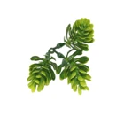 Bonsai Tree Modern Home Decoration Artificial Bonsai Tree Plant Plastic Bonsai Plant