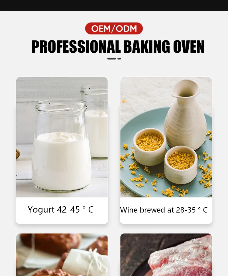 Commercial CE Kitchen Equipment Gas Type Convection Oven with Steamer Function 5 Trays Gas Commercial Convection Oven