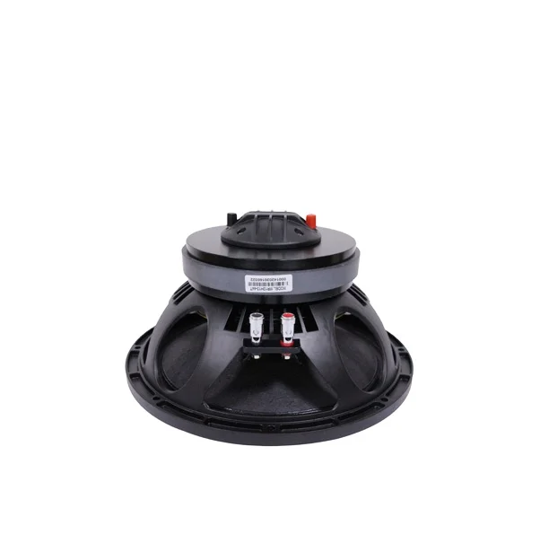 box speaker 10 inch full range