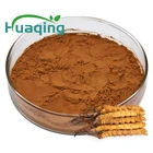 Natural 100% Pure Natural Cordyceps Militaris 10:1 Cordyceps Sinensis Extract Powder