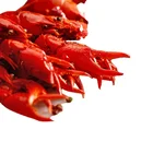 Lobster High Quality Seafood Fresh Water Cooked Whole Frozen Spicy Crawfish/Lobster